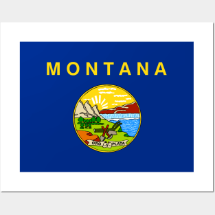 Montana State Flag Posters and Art